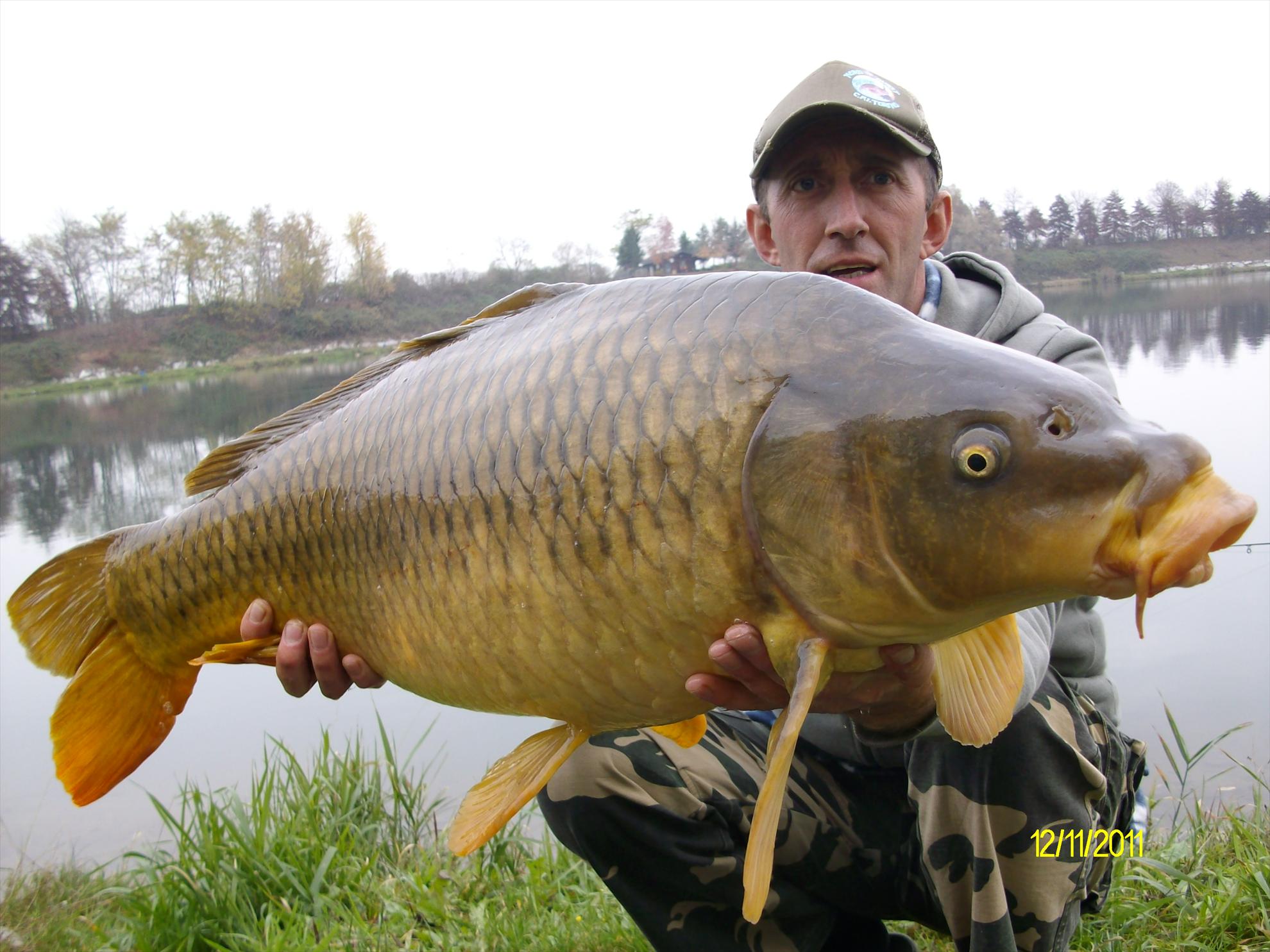 florian tanasa - alim04991.JPG